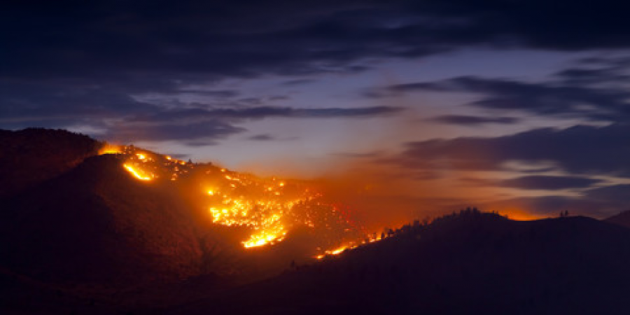 California wildfires ravage the area.