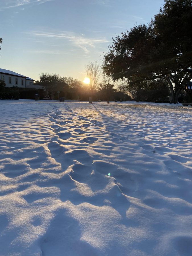 Dallas received several inches after the snow storm in mid-february.