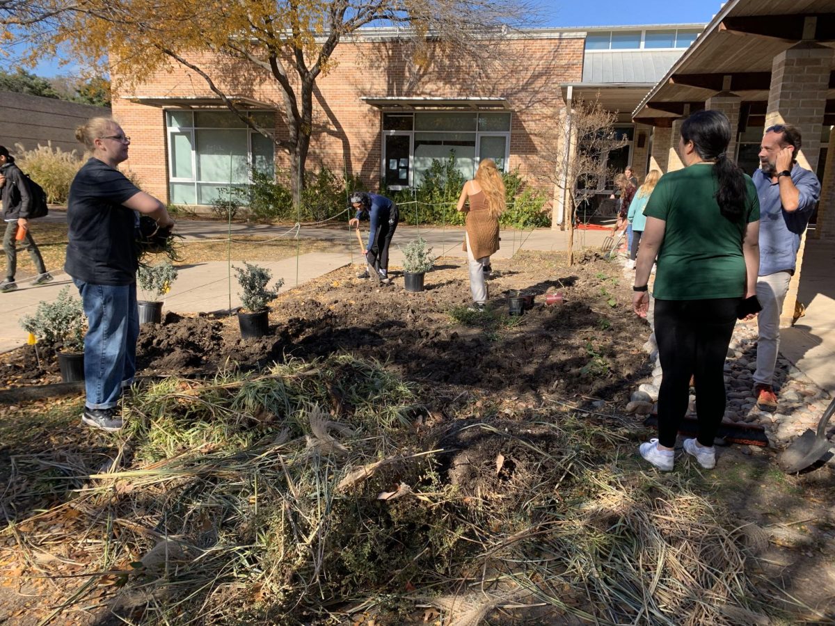 Faculty and Students Continue Pocket Prairie Project Around Campus