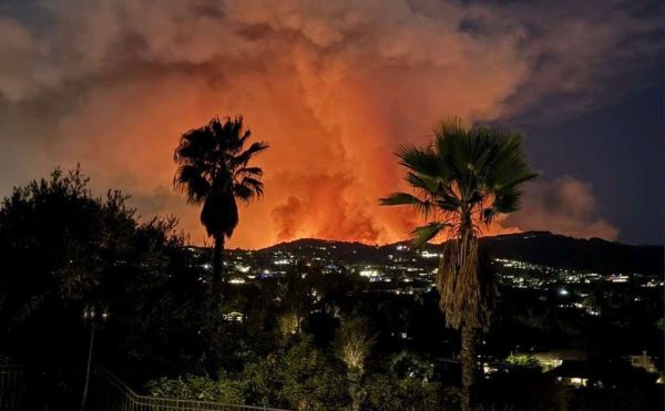 California Natives Watch Palisades Fire from Afar