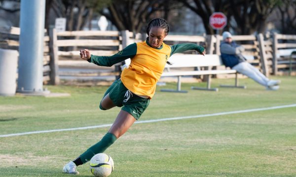 Photo Courtesy of Sofi Lanzillotta