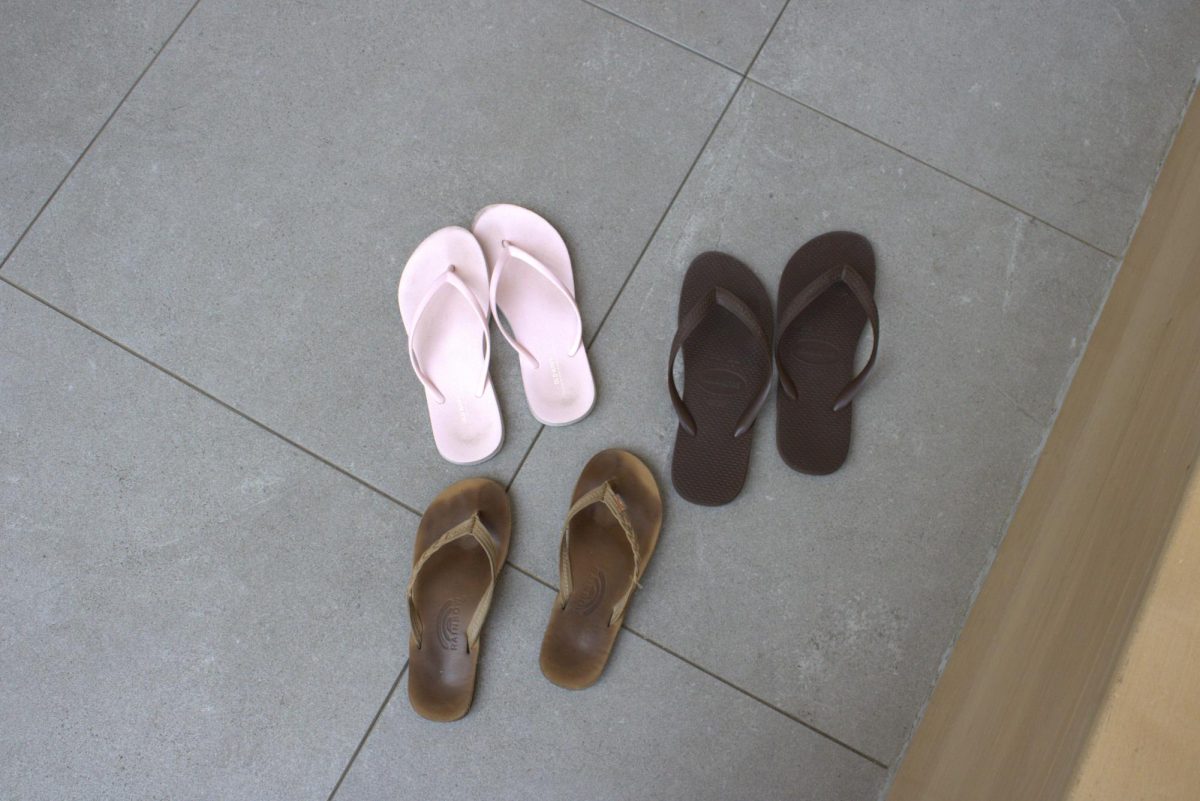 Fashion Footwear: Flip Flops